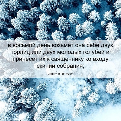 Picture 06 - Левит 15:29 RUSV - в восьмой день возьмет она - Bible Verse Picture