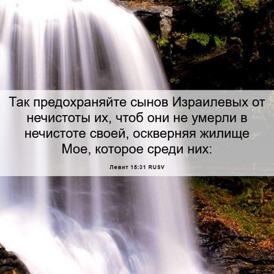 Picture 06 - Левит 15:31 RUSV - Так предохраняйте сынов - Bible Verse Picture