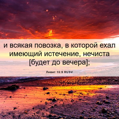 Picture 06 - Левит 15:9 RUSV - и всякая повозка, в которой - Bible Verse Picture