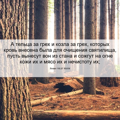 Picture 06 - Левит 16:27 RUSV - А тельца за грех и козла за - Bible Verse Picture