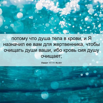 Picture 06 - Левит 17:11 RUSV - потому что душа тела в - Bible Verse Picture