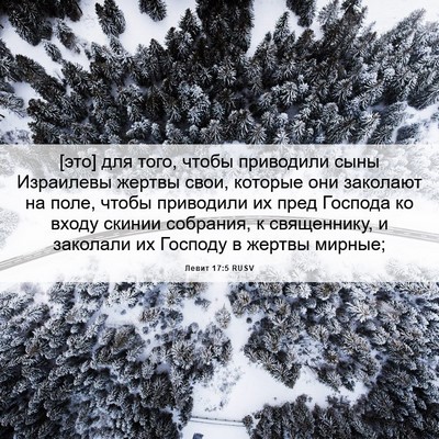 Picture 06 - Левит 17:5 RUSV - [это] для того, чтобы - Bible Verse Picture