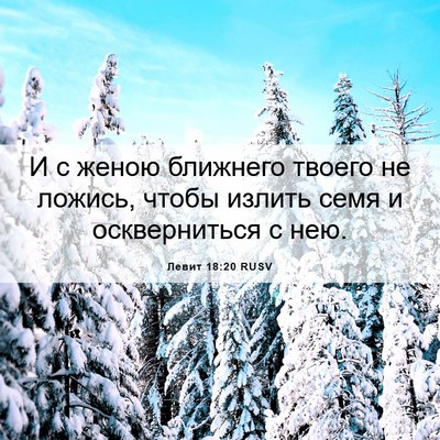 Picture 06 - Левит 18:20 RUSV - И с женою ближнего твоего - Bible Verse Picture