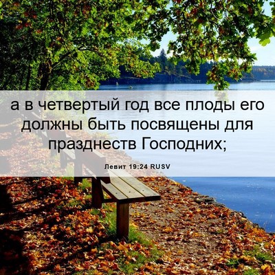 Picture 06 - Левит 19:24 RUSV - а в четвертый год все плоды - Bible Verse Picture