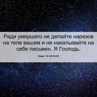 Picture 06 - Левит 19:28 RUSV - Ради умершего не делайте - Bible Verse Picture