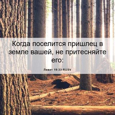 Picture 06 - Левит 19:33 RUSV - Когда поселится пришлец в - Bible Verse Picture