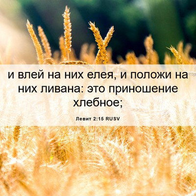 Picture 06 - Левит 2:15 RUSV - и влей на них елея, и положи - Bible Verse Picture