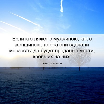 Picture 06 - Левит 20:13 RUSV - Если кто ляжет с мужчиною, - Bible Verse Picture