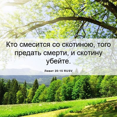 Picture 06 - Левит 20:15 RUSV - Кто смесится со скотиною, - Bible Verse Picture