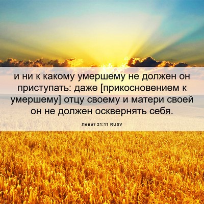 Picture 06 - Левит 21:11 RUSV - и ни к какому умершему не - Bible Verse Picture
