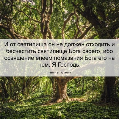 Picture 06 - Левит 21:12 RUSV - И от святилища он не должен - Bible Verse Picture