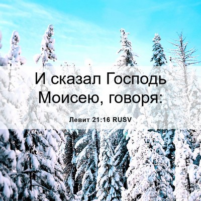Picture 06 - Левит 21:16 RUSV - И сказал Господь Моисею, - Bible Verse Picture
