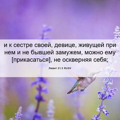 Picture 06 - Левит 21:3 RUSV - и к сестре своей, девице, - Bible Verse Picture