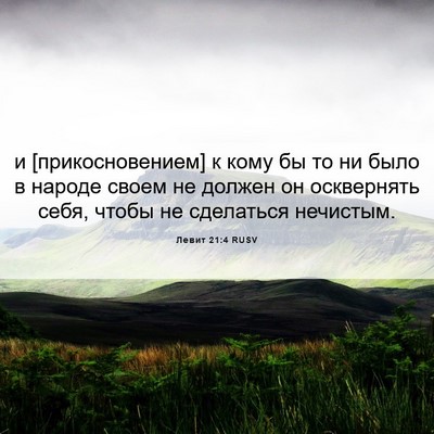 Picture 06 - Левит 21:4 RUSV - и [прикосновением] к кому - Bible Verse Picture
