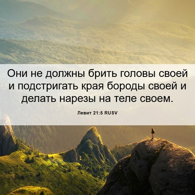 Picture 06 - Левит 21:5 RUSV - Они не должны брить головы - Bible Verse Picture