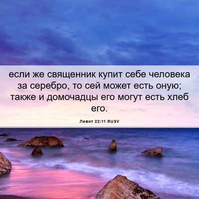 Picture 06 - Левит 22:11 RUSV - если же священник купит - Bible Verse Picture