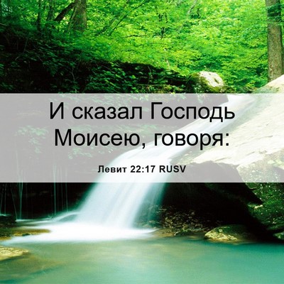 Picture 06 - Левит 22:17 RUSV - И сказал Господь Моисею, - Bible Verse Picture