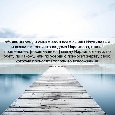 Picture 06 - Левит 22:18 RUSV - объяви Аарону и сынам его и - Bible Verse Picture