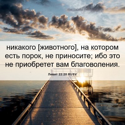 Picture 06 - Левит 22:20 RUSV - никакого [животного], на - Bible Verse Picture