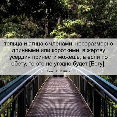 Picture 06 - Левит 22:23 RUSV - тельца и агнца с членами, - Bible Verse Picture