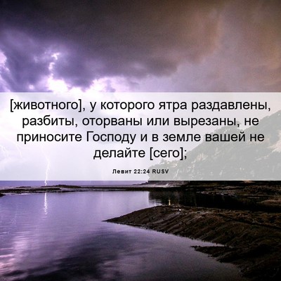 Picture 06 - Левит 22:24 RUSV - [животного], у которого - Bible Verse Picture