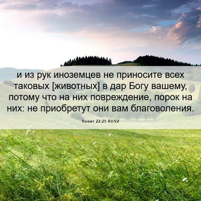 Picture 06 - Левит 22:25 RUSV - и из рук иноземцев не - Bible Verse Picture