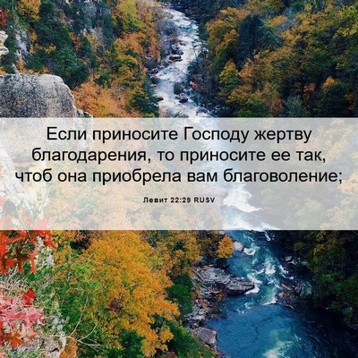 Picture 06 - Левит 22:29 RUSV - Если приносите Господу - Bible Verse Picture