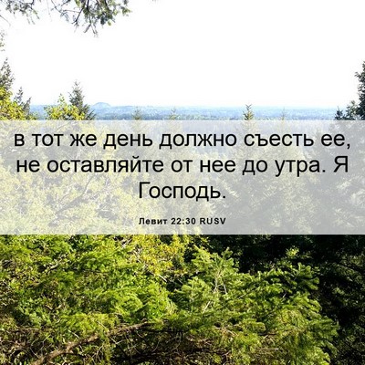 Picture 06 - Левит 22:30 RUSV - в тот же день должно съесть - Bible Verse Picture
