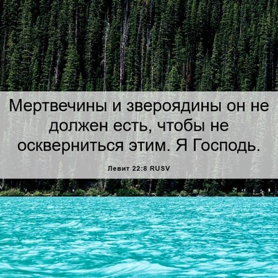 Picture 06 - Левит 22:8 RUSV - Мертвечины и звероядины он - Bible Verse Picture