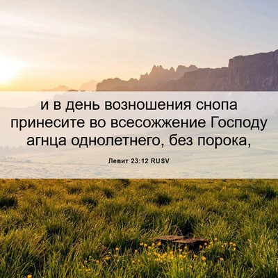 Picture 06 - Левит 23:12 RUSV - и в день возношения снопа - Bible Verse Picture