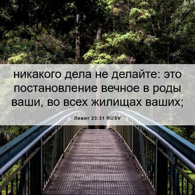 Picture 06 - Левит 23:31 RUSV - никакого дела не делайте: - Bible Verse Picture