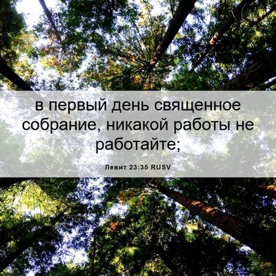 Picture 06 - Левит 23:35 RUSV - в первый день священное - Bible Verse Picture