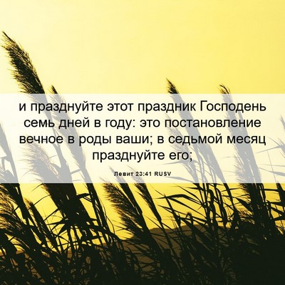 Picture 06 - Левит 23:41 RUSV - и празднуйте этот праздник - Bible Verse Picture