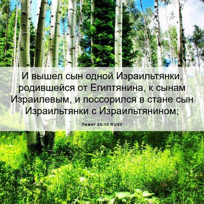Picture 06 - Левит 24:10 RUSV - И вышел сын одной - Bible Verse Picture