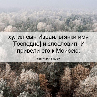 Picture 06 - Левит 24:11 RUSV - хулил сын Израильтянки имя - Bible Verse Picture