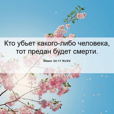 Picture 06 - Левит 24:17 RUSV - Кто убьет какого-либо - Bible Verse Picture