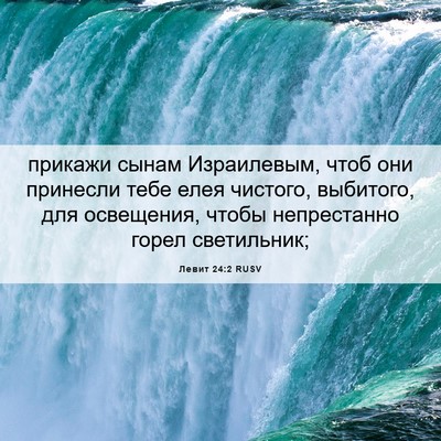 Picture 06 - Левит 24:2 RUSV - прикажи сынам Израилевым, - Bible Verse Picture
