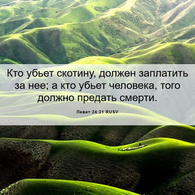 Picture 06 - Левит 24:21 RUSV - Кто убьет скотину, должен - Bible Verse Picture