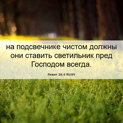 Picture 06 - Левит 24:4 RUSV - на подсвечнике чистом - Bible Verse Picture
