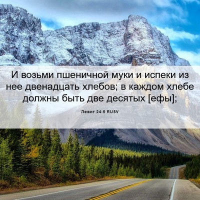 Picture 06 - Левит 24:5 RUSV - И возьми пшеничной муки и - Bible Verse Picture