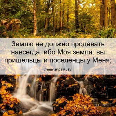 Picture 06 - Левит 25:23 RUSV - Землю не должно продавать - Bible Verse Picture