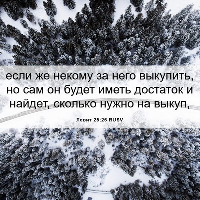 Picture 06 - Левит 25:26 RUSV - если же некому за него - Bible Verse Picture