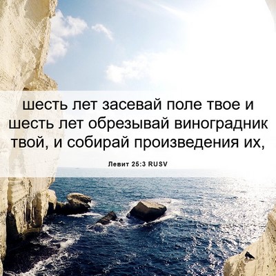 Picture 06 - Левит 25:3 RUSV - шесть лет засевай поле - Bible Verse Picture