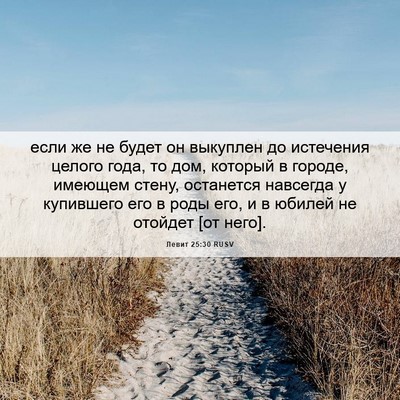 Picture 06 - Левит 25:30 RUSV - если же не будет он - Bible Verse Picture