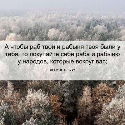 Picture 06 - Левит 25:44 RUSV - А чтобы раб твой и рабыня - Bible Verse Picture