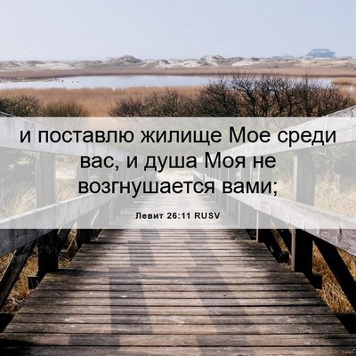 Picture 06 - Левит 26:11 RUSV - и поставлю жилище Мое - Bible Verse Picture