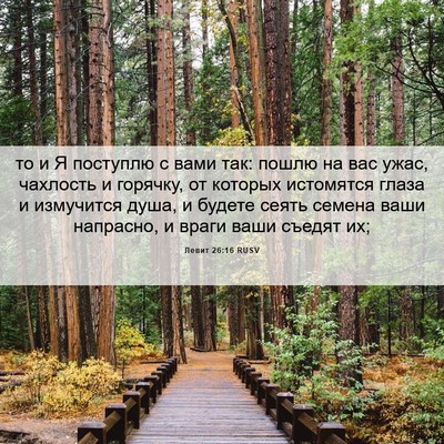 Picture 06 - Левит 26:16 RUSV - то и Я поступлю с вами так: - Bible Verse Picture