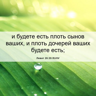 Picture 06 - Левит 26:29 RUSV - и будете есть плоть сынов - Bible Verse Picture