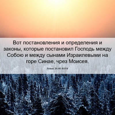 Picture 06 - Левит 26:46 RUSV - Вот постановления и - Bible Verse Picture