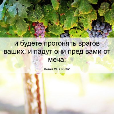 Picture 06 - Левит 26:7 RUSV - и будете прогонять врагов - Bible Verse Picture